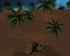 Palm tree & rocks