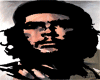 - Guevara