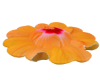 Hibiscus Pillow