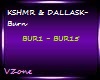 KSHMR&DALLASK-Burn