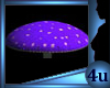 4u Aqulivus Mushrooms