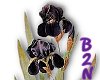 B2N-Black Iris Blooms
