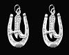 Western Earrings