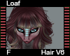 Loaf Hair F V6