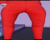 JSZ Custom Pants ~