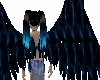 [AKY] dark blue wings