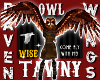 TAWNY OWL WINGS!