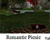 Romantic Picnic