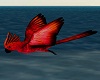PHV Tropical Red Parrot