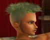 Green Spike Hair