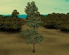 Tree F2 animated