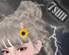 ✿Sunflower✿
