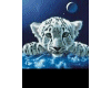 Mystical White Tiger