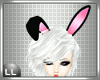 [LL] Blk Pink Bunny Ears