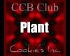 CCB Plant