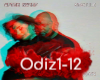 Odin iz dvukh rmx