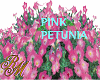 PinkPetunia RM