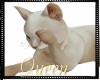 !Q Seine Anim. Cuddle