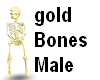 gold  Bones Male