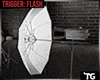 TG| White Umbrella Light
