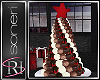 Chocolate Tree 2