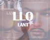 L|. Dominic Skin T5