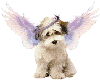 Puppy with wings