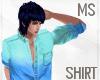 MS Spring shirt blue