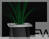 [FW]serenadic plant