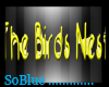 *SB* Birds Nest Neon