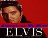 Elvis Always on my mind