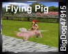 [BD] Flying Pig