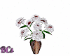 Carnations in Vase White