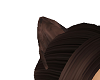 Brown Kitty ears