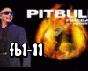 Pitbull(Hard)FireBall p1