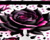 Black pink rose bg