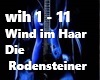 Die Rodensteiner