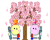 Cherry Blossem Festival!