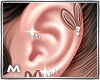Brown earrings