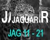 Jaguar P2