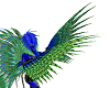 [Cyn]Peacock wing