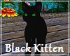Black Kitten FV