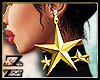 🌙 Zodiac STAR Earring
