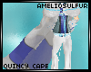 AS Quincy Cape