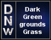 Dark Green Grass