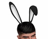 Bunny Ears  - bLACK wHIT