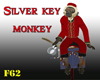 Silverkey monkey