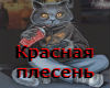 Krasnaya Plesen-Kot
