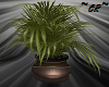 ~CR~ Large Potted Plant