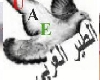 badriya al6er-alghrby